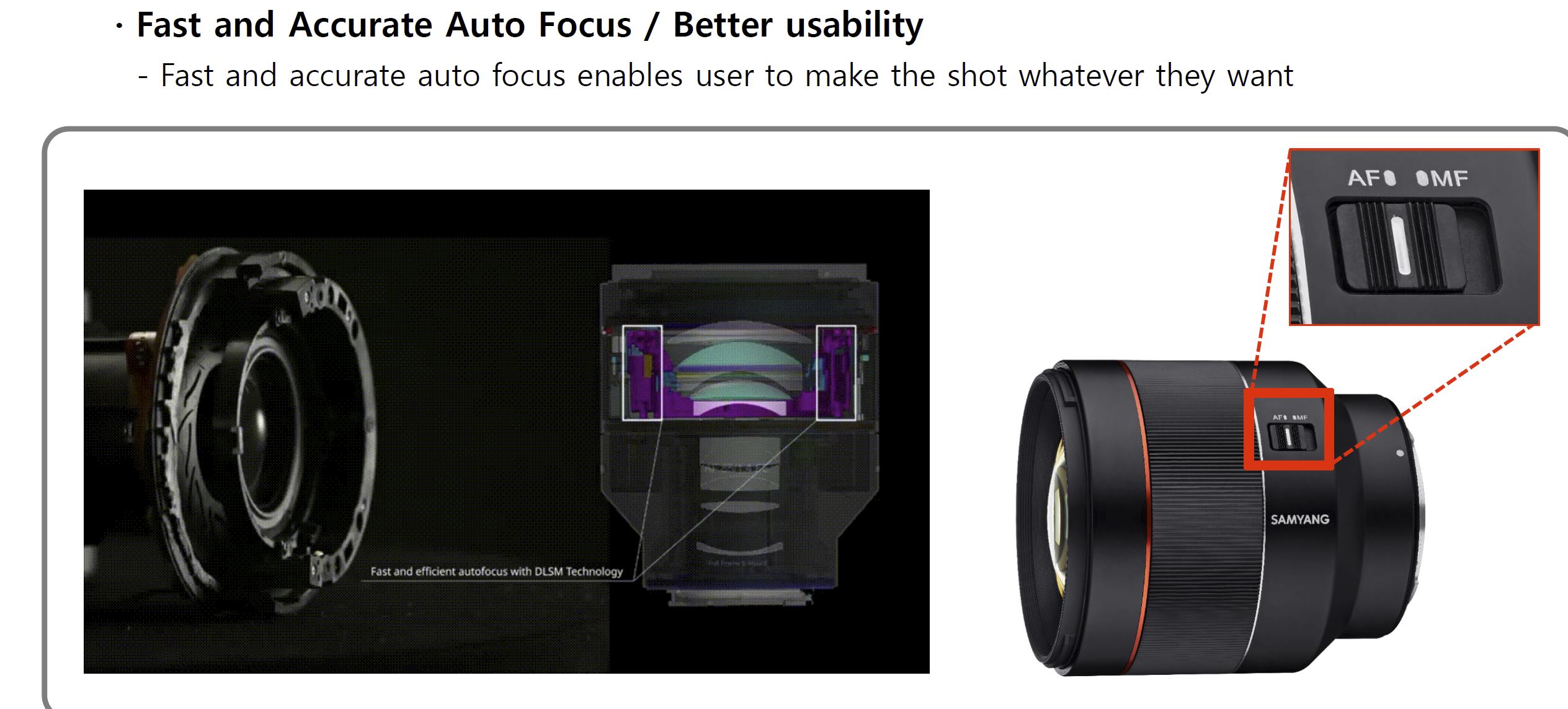 15-DLSM-Focus.JPG