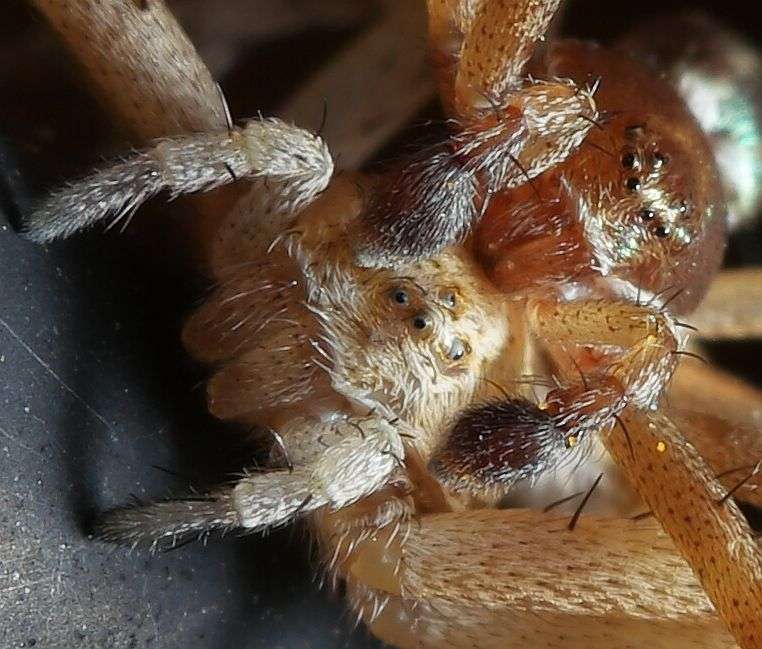 PYgyWe.jpg