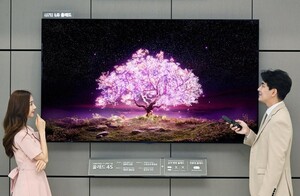 it.chosun.com