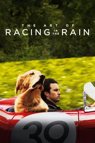 The-Art-Of-Racing-In-The-Rain-2019.jpg