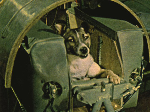 laika-sputnik-2.jpg