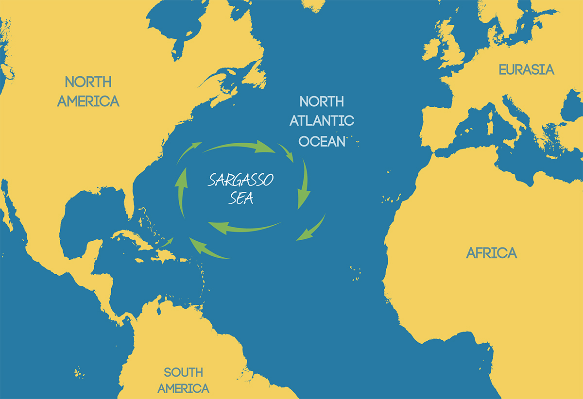 www.geografikoi.gr