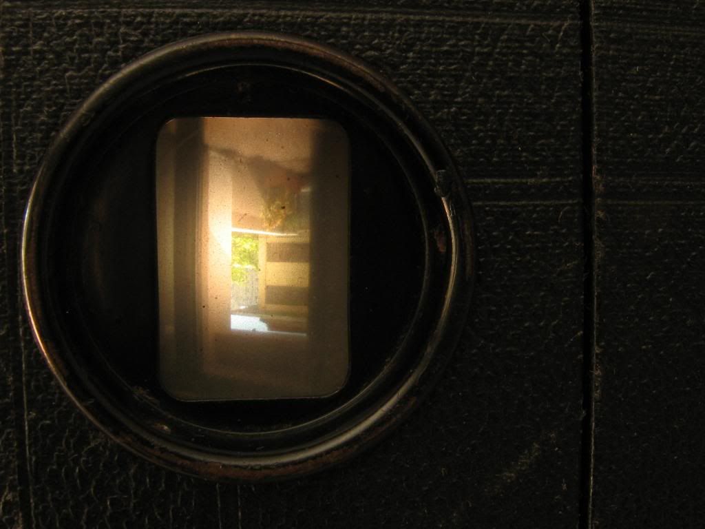 IMG_4995_zpsf6404270.jpg