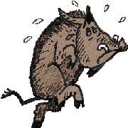 sanglier1.gif