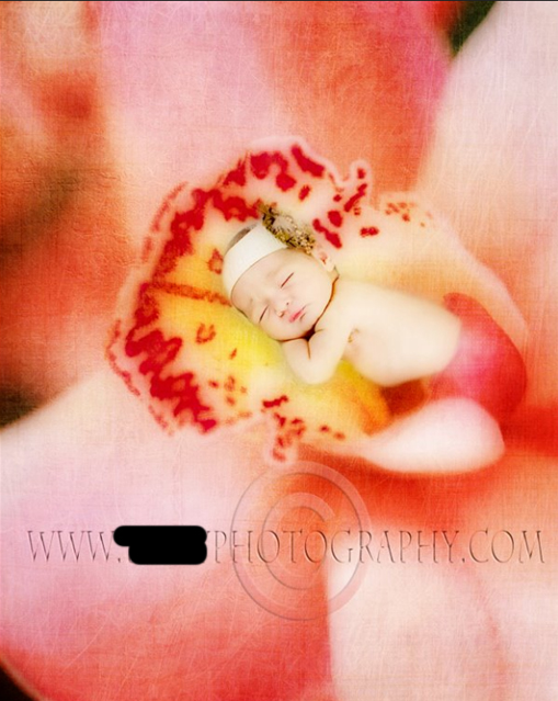 flower-baby.jpg