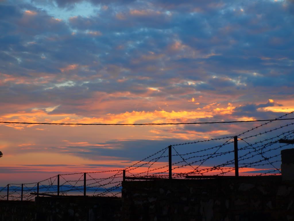 PA040479.jpg