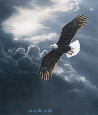 storm-bald-eagle.jpg