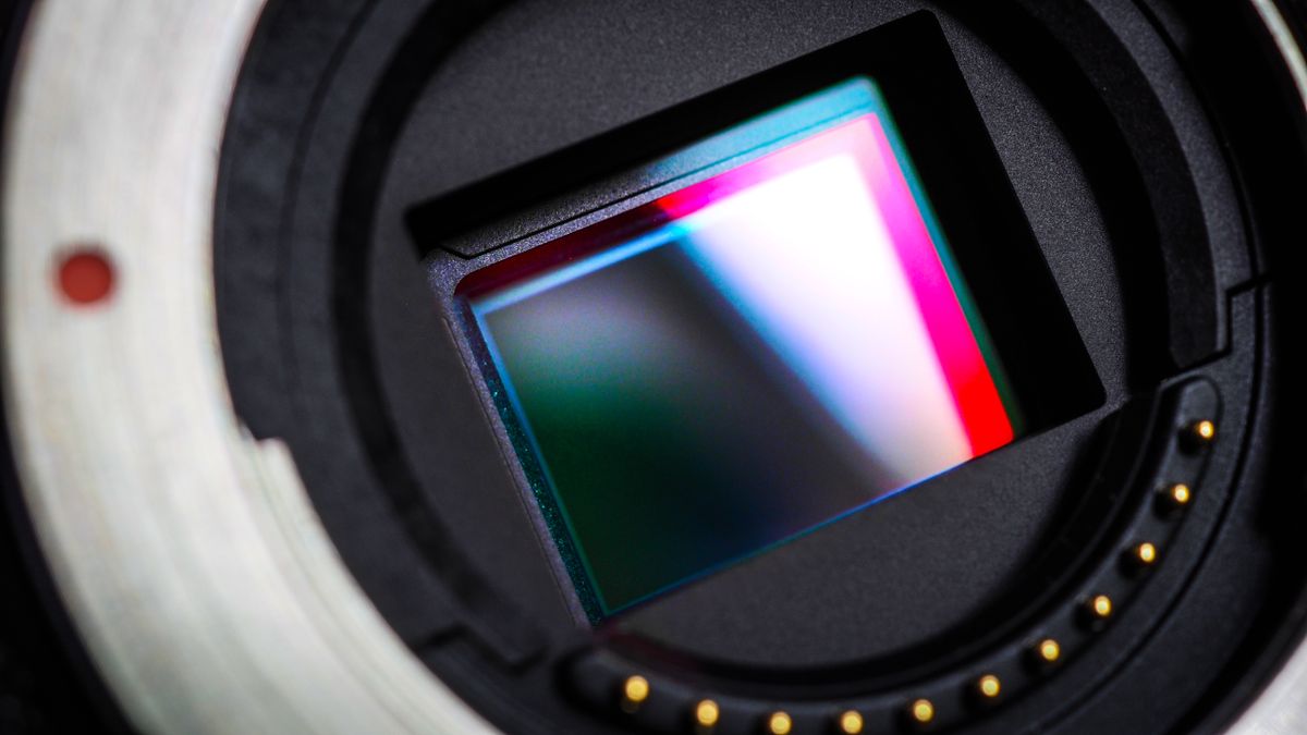 www.digitalcameraworld.com