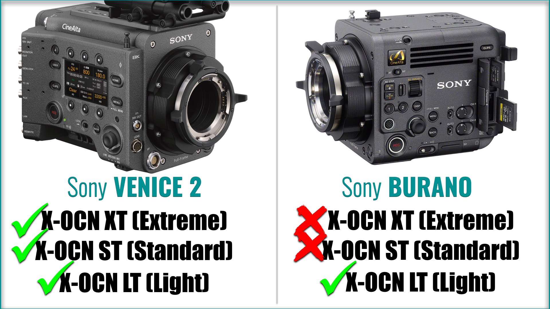 ymcinema.com