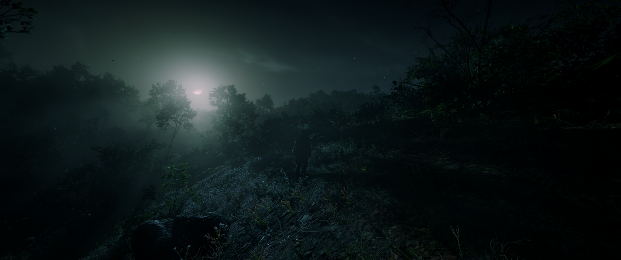 Red-Dead-Redemption-2-2022-12-05-20-51-1.png