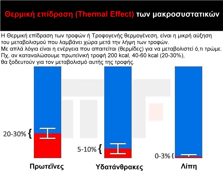 Thermal-Effect-Food.jpg