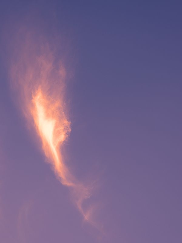 DSC_1713b.jpg