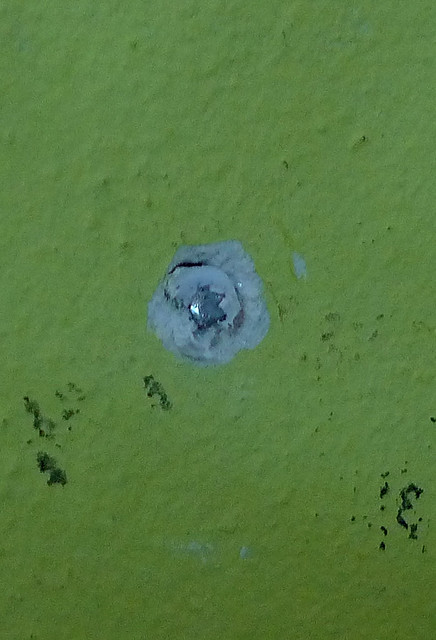33133886554_ee5c1821ae_z.jpg